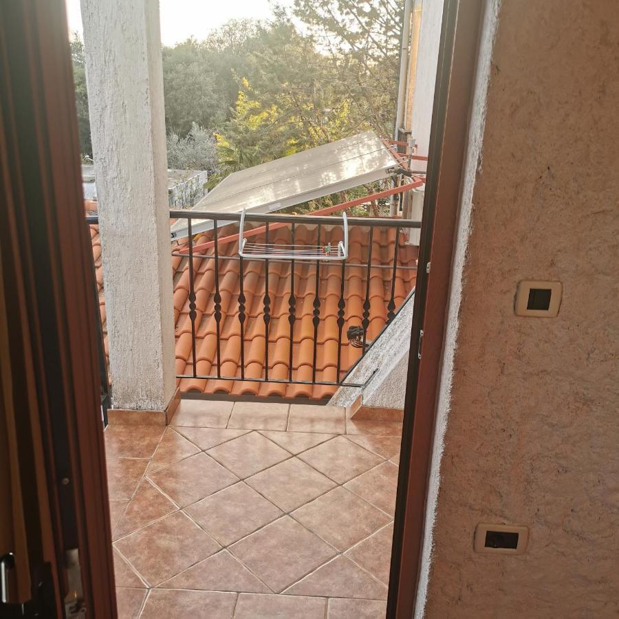 روفينج B&B Feral المظهر الخارجي الصورة
