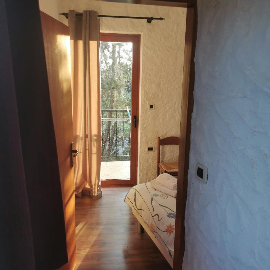 روفينج B&B Feral المظهر الخارجي الصورة